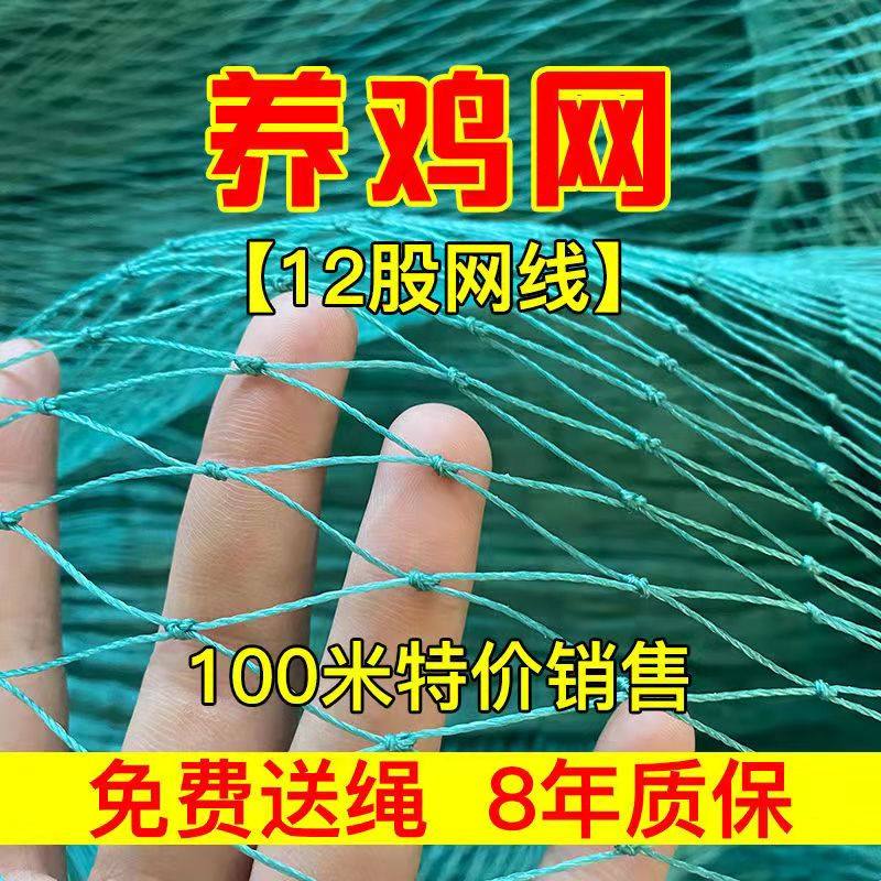 塑料尼龙网养殖网安全网养鸡网围栏网护栏网山鸡网防鸟网防护网