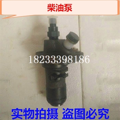 江动JD33柴油泵 单缸柴油机(粗扣)喷油泵总成 10.5 柱塞总成