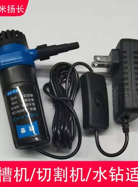 水泵小型迷你抽水机微型家用12v抽水泵开槽机水钻专用潜水自吸泵