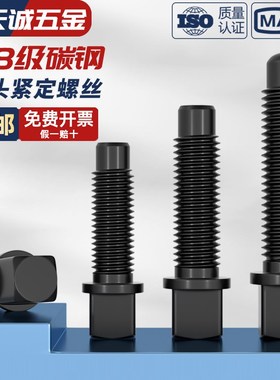 8.8级刀台丝刀架螺丝方头紧定四方头顶丝M8M10M12M16M20M22M24M30