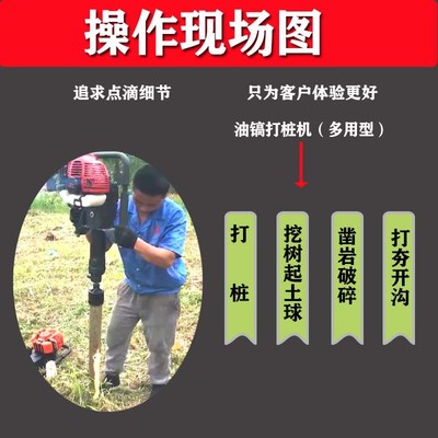 德国进口护栏打桩机抢险防汛铁路地基工程打桩机汽油冲击打桩神器