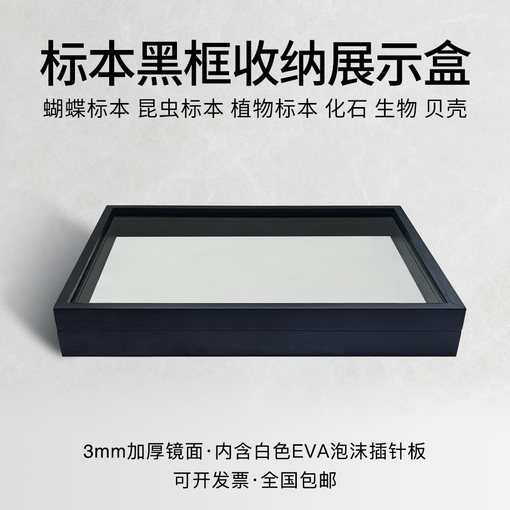 黑框白底实木松木标本盒昆虫蝴蝶玻璃标本框标本黑漆面工艺插针盒
