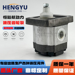 罗茨液压泵RONZIO齿轮泵01ZAG11C401D 01ZCG42N600D 01ZAG32C442D