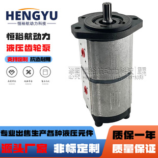 罗马尼亚液压泵HIDRAULICA齿轮泵PRD22 5187D 5177D双联油泵PRD22