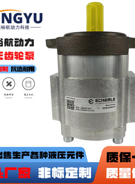 艾可勒ECKERLE齿轮泵EIPS2-008/006/005RA04-11-S111伺服液压油泵