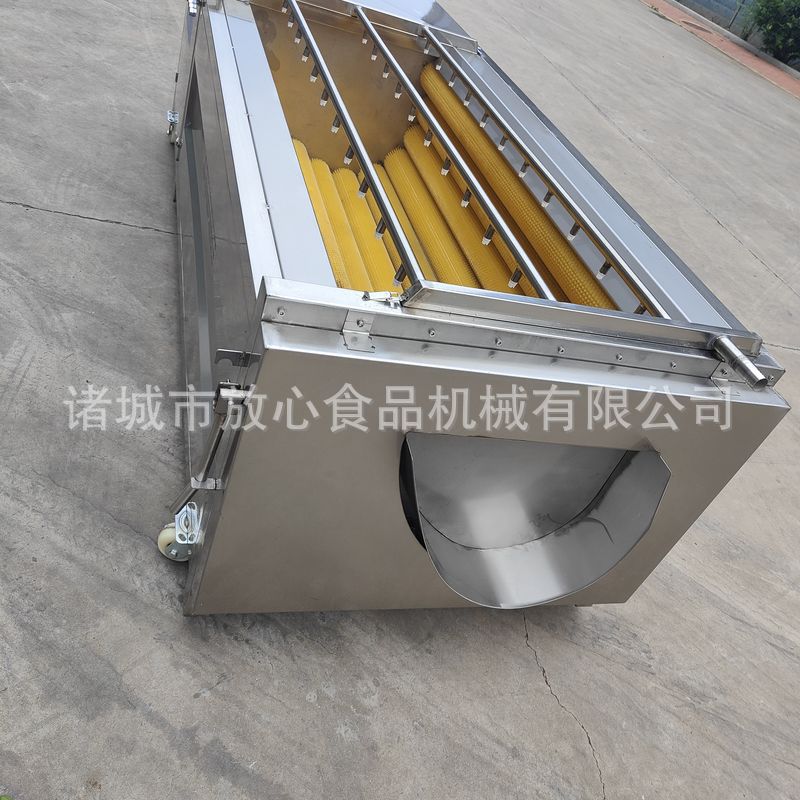 根茎类蔬菜清洗机 萝卜去皮清洗机厂家供应 大型土豆去皮清洗机
