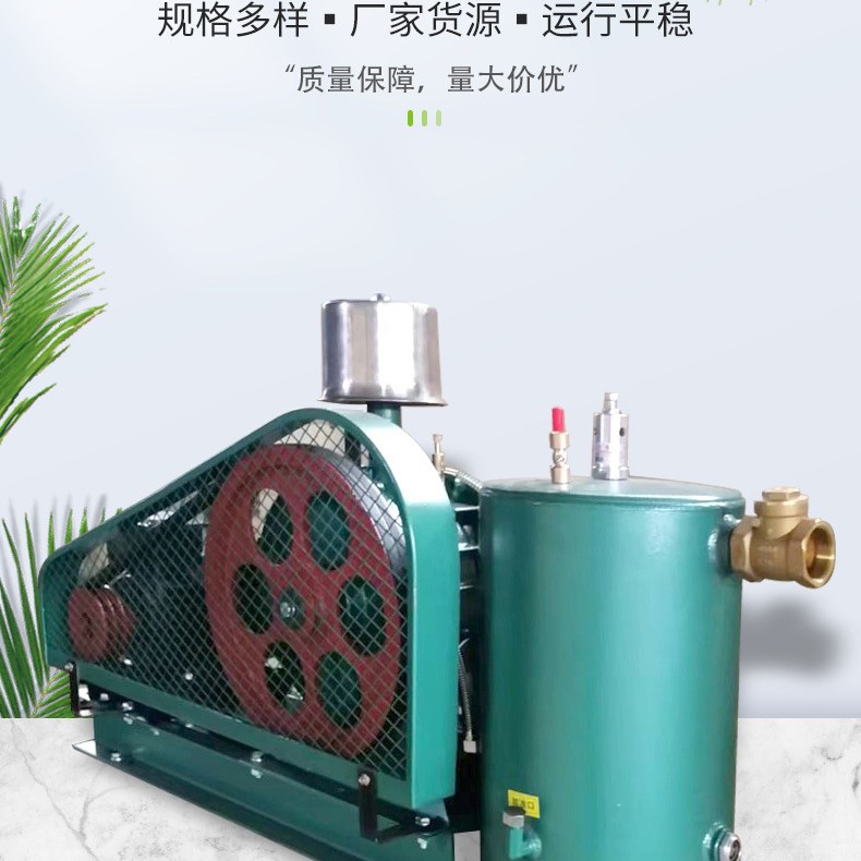 回转风机曝气增氧低噪音一体化鼓风机中压回转式鼓风机静音