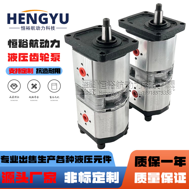 马祖奇油泵MARZOCCHI齿轮泵ALPA2-D-20-EP+ALPP2D-13-EP液压泵