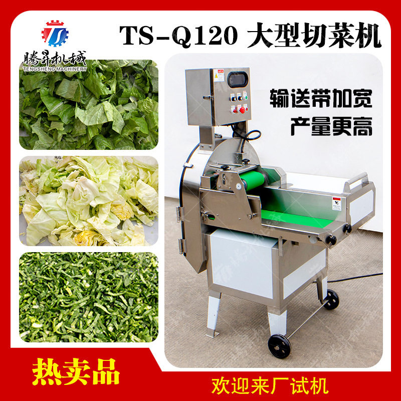 大型单头切菜机叶菜类切块切丝机芹菜切丁切段机全自动切菜机