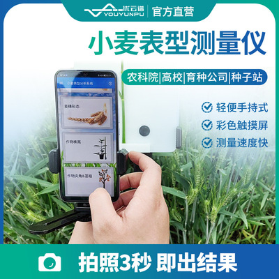 小麦表型测量仪麦穗形态测量系统便携式小麦株高穗长千粒重检测仪