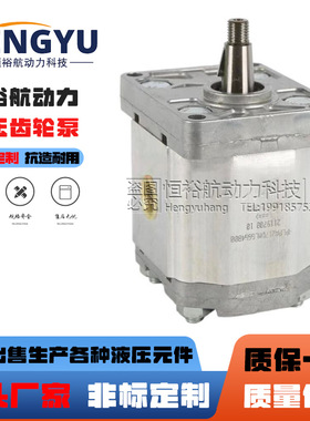 BONDIOLI齿轮泵HPLPA211DLLE3E3BST泵HPLPA214液压泵高压 油泵