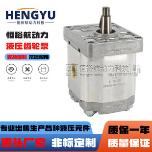 BONDIOLI齿轮泵HPLPA211DLLE3E3BST泵HPLPA214液压泵高压 油泵