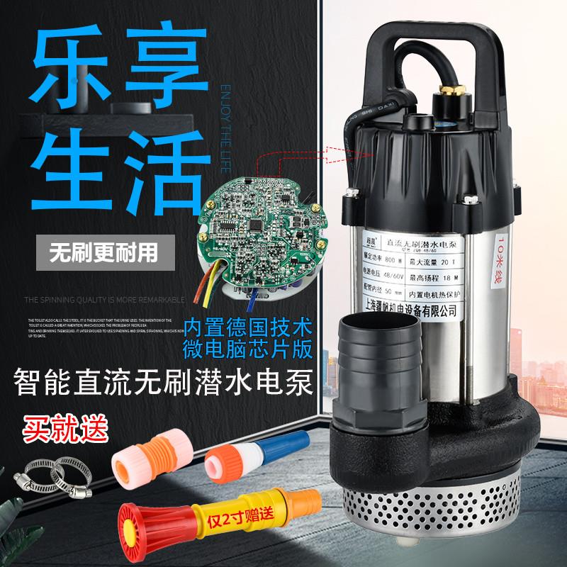 48V60V水泵无刷直流潜水泵农用浇灌电瓶车电动车抽水泵永磁抽水机