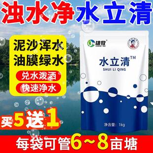 水立清浊水净鱼池塘生物污泥水质净化沉淀絮凝剂变清水产养殖专用