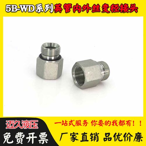 5B-WD英制G螺纹接头高压油管对丝补芯内外丝转换RI管外螺纹ED密封