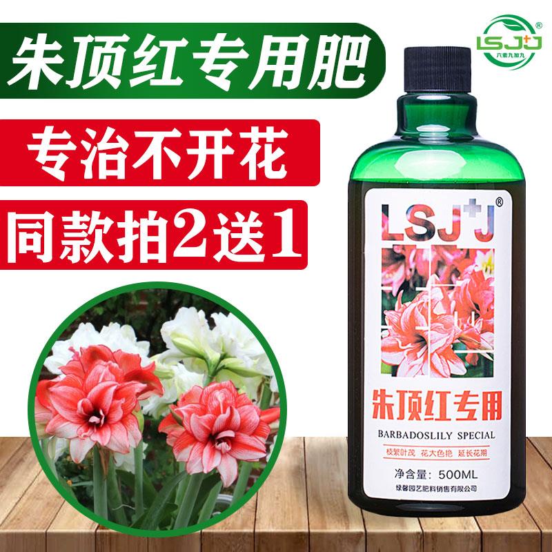 朱顶红肥料专用肥营养液球根植物风信子郁金香仙客来种球通用盆栽
