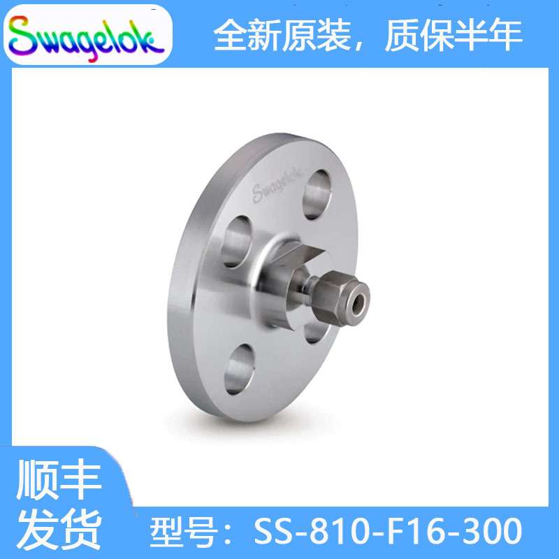 Swagelok世伟洛克SS-810-F16-300不锈钢 ANSI 法兰转换接头1/2 in