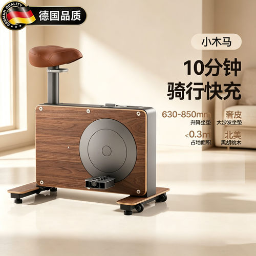 德国小木马动感单车家用室内静音