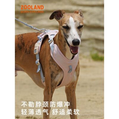 ZOOLAND狗狗胸背牵引绳小中大型犬遛狗工字型不勒脖专用宠物炼子A