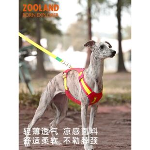 ZOOLAND狗狗胸背牵引绳工字遛狗小中大型犬防爆冲挣脱宠物牵狗绳A