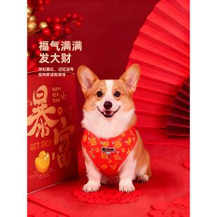 背心式狗狗牵引绳新年可调节胸背带款柯基中小型犬宠物遛弯绳链子