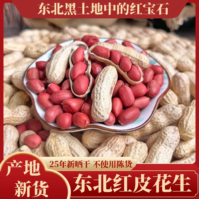 东北红皮花生2025年农家新鲜带壳生四粒红花生米自种晒干原味花生