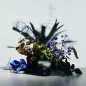 月球野餐 ASUCH 浆果小豆蔻 无烟香薰蜡烛卧室清新助眠玻璃送礼