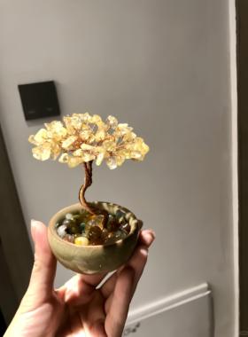 玄关高级聚宝盆小摆件陶瓷底座水晶发财树办公桌面创意手工工艺品