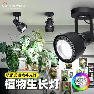 光联天下吸顶式植物补光灯客厅过道阳台热植绿植生长灯全光谱白光