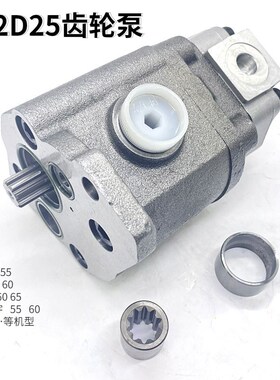 挖掘机斗山大宇55 60-7 沃尔沃55 先导泵力士乐AP2D25齿轮泵尾泵