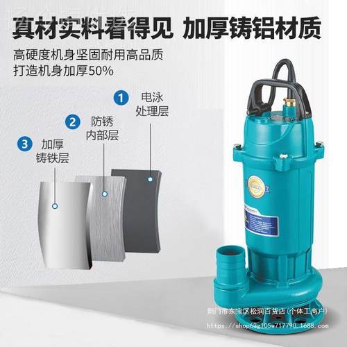 潜水泵污水泵2V用抽水泵高扬程小型0抽水家机DPW2大流量农用灌溉