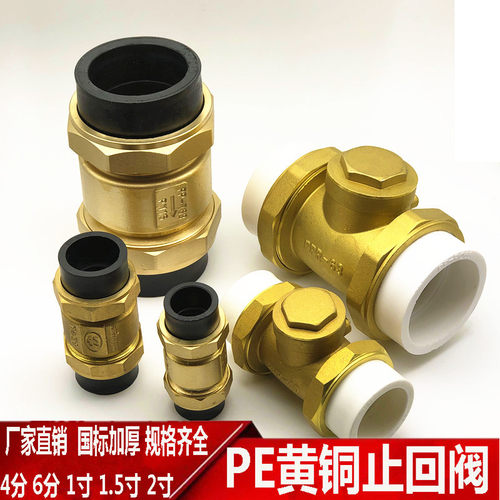 PE止回阀4分6分1寸卧式立式逆止阀20 25 32 40 50 63水管单向阀