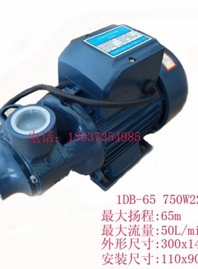 1DB-65家用清水泵漩涡泵1.5DK-20离心泵 工业三相增压泵750W380V