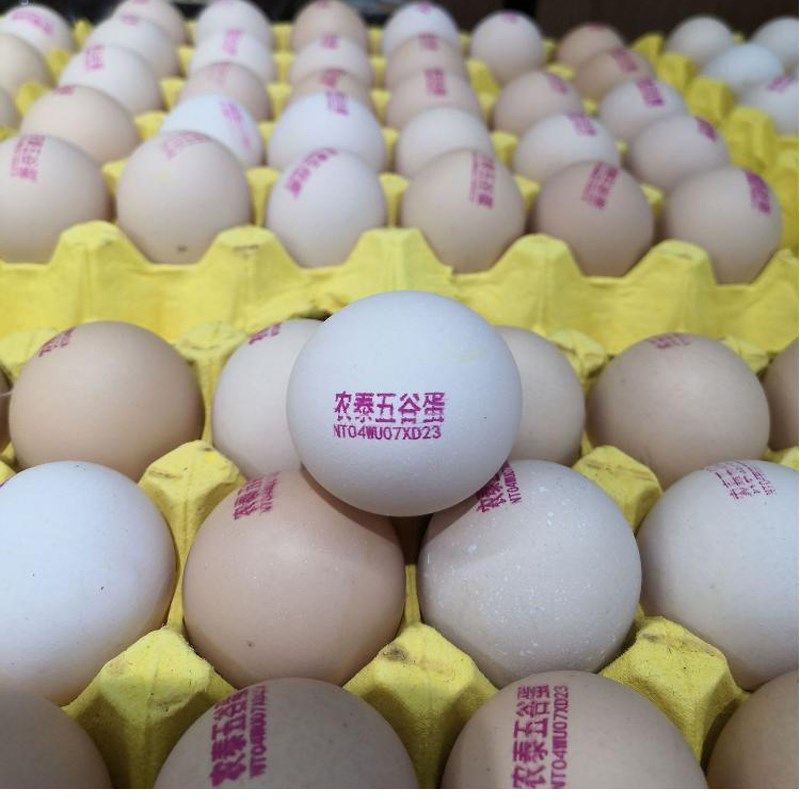 鸡蛋墨水 鸡蛋印油 食品级食用级不掉色快干喷墨打印 蛋壳油墨水,农用物资,苗木固定器/支撑器,淘宝优惠券,粉丝福利购,淘宝优惠卷