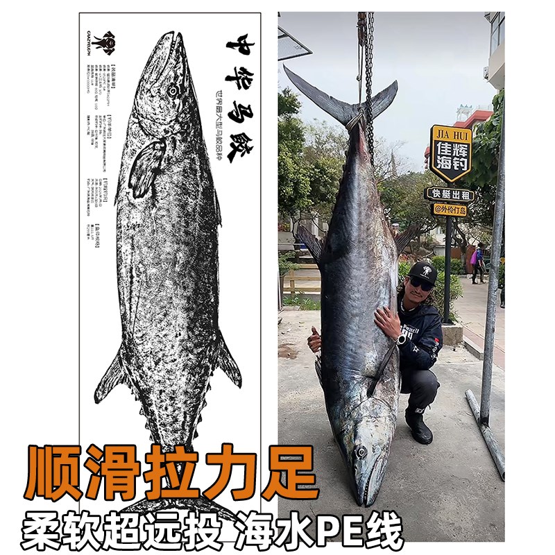 抗腐海钓8528疯象钓手pe线五彩八编远投顺滑耐用海水路亚线