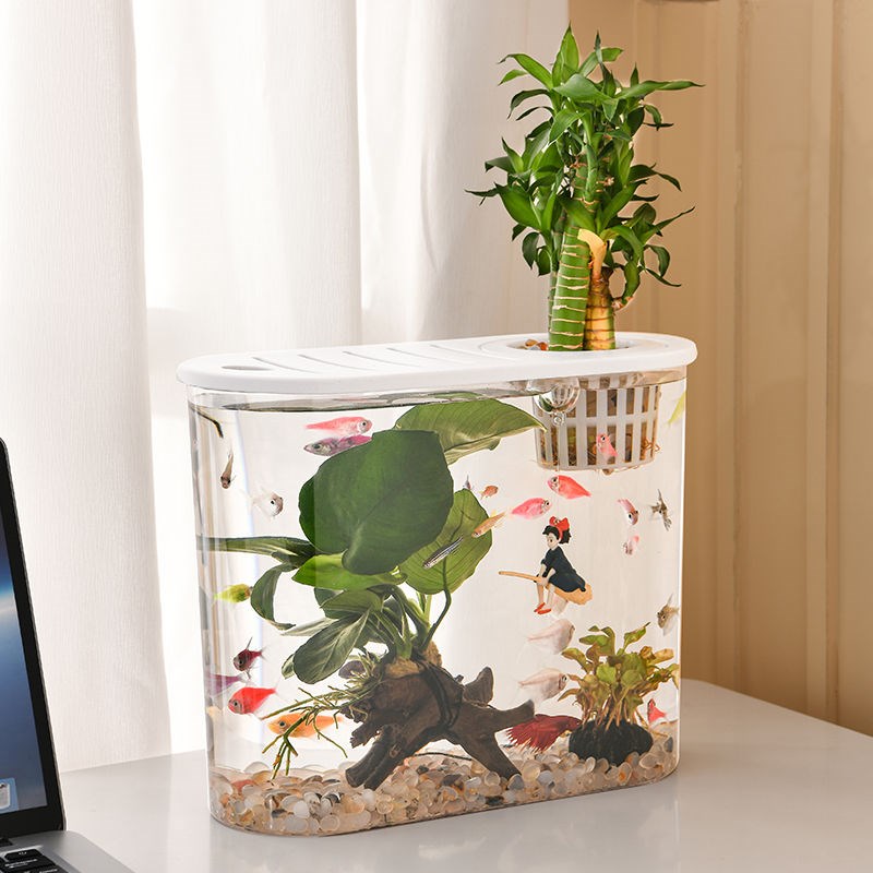 新款透明塑料鱼缸透明仿玻璃客厅中小型金鱼缸乌龟缸桌面观赏缸