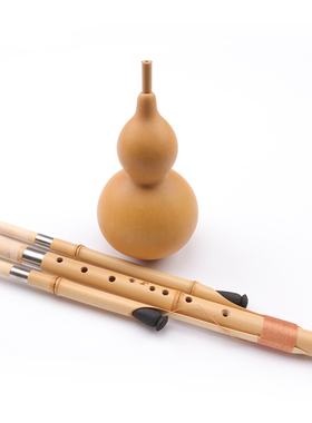 葫芦丝乐器C调F调G调成人专业演奏型乐器秦艺监制金竹九孔葫芦丝