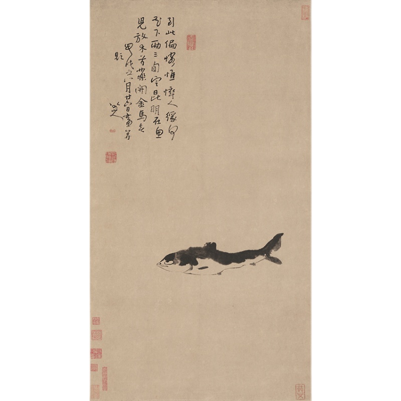 清四僧朱耷 鱼 国画宣纸高清复制酒店公司装饰画挂画临摹学习手稿图片