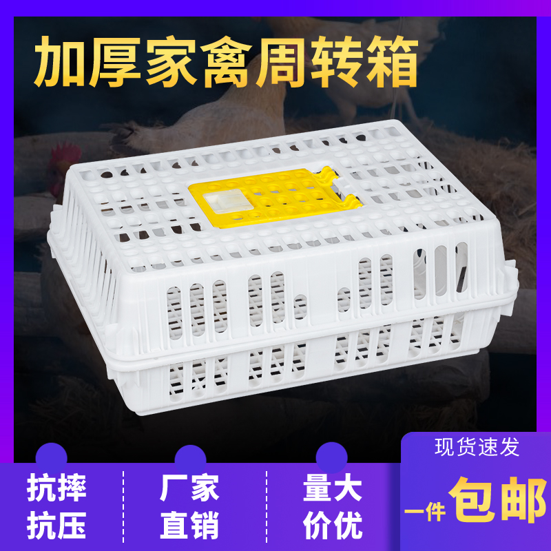 鸡笼周转箱鸡框塑料运输笼家用大号加厚特大筐成鸡鸭鹅鸽家禽兔笼