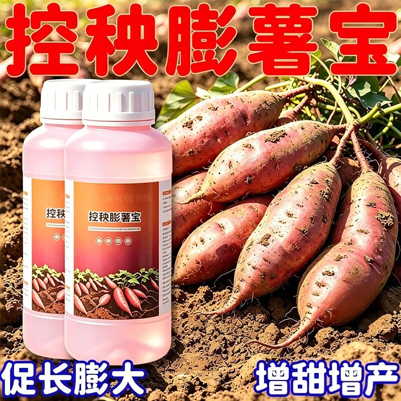 红薯地瓜根茎专用控旺膨大素