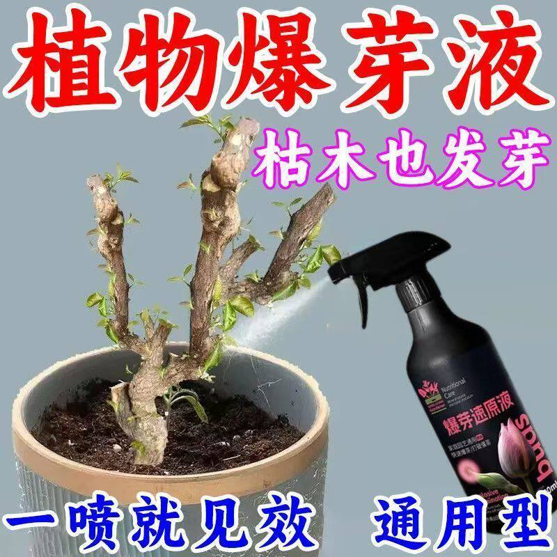 花卉浓缩爆芽素原液快速发芽