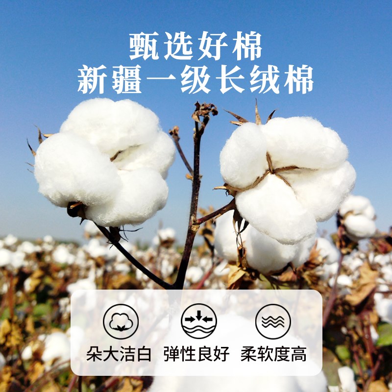 新疆长绒棉花被子棉被被芯棉絮垫被床垫铺底冬季纯棉全棉单人冬被