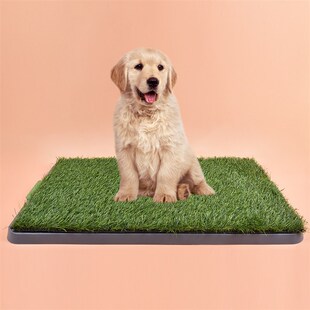 透水透气狗窝草坪垫可清洗猫狗厕所尿垫超大号无胶宠物草坪