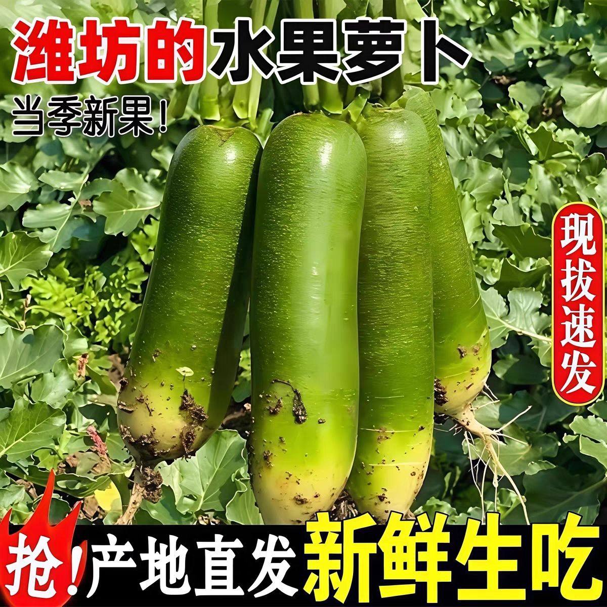 潍坊水果萝卜新鲜甜脆水果型青冰淇淋凤梨生吃正宗青绿胡萝卜,水产肉类/新鲜蔬果/熟食,萝卜/胡萝卜,淘宝优惠券,粉丝福利购,淘宝优惠卷