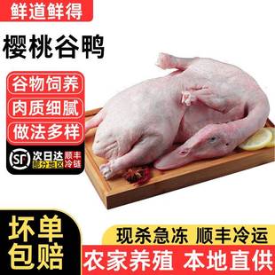 樱桃谷鸭2斤农家谷饲散养生态白条鸭新鲜冷冻整鸭烤鸭卤鸭烧鸭