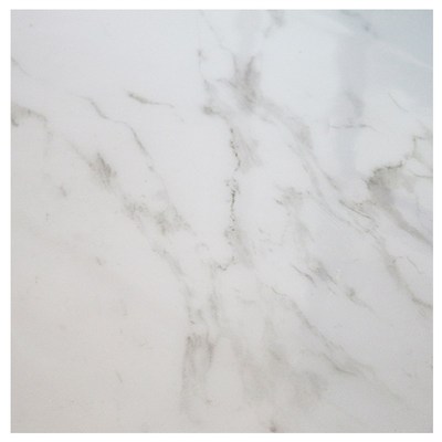 长方形会议桌会议室桌布桌垫展会展宴会长条超大防水放油免洗pvc