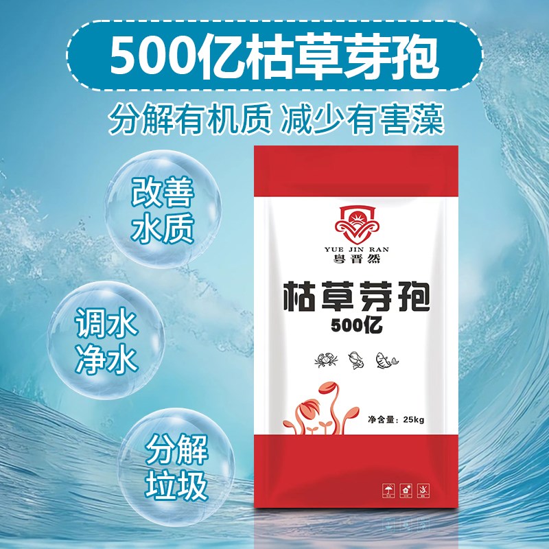 500亿枯草芽孢杆菌水产养殖池塘净水肥水分解有机质有害裸甲绿藻