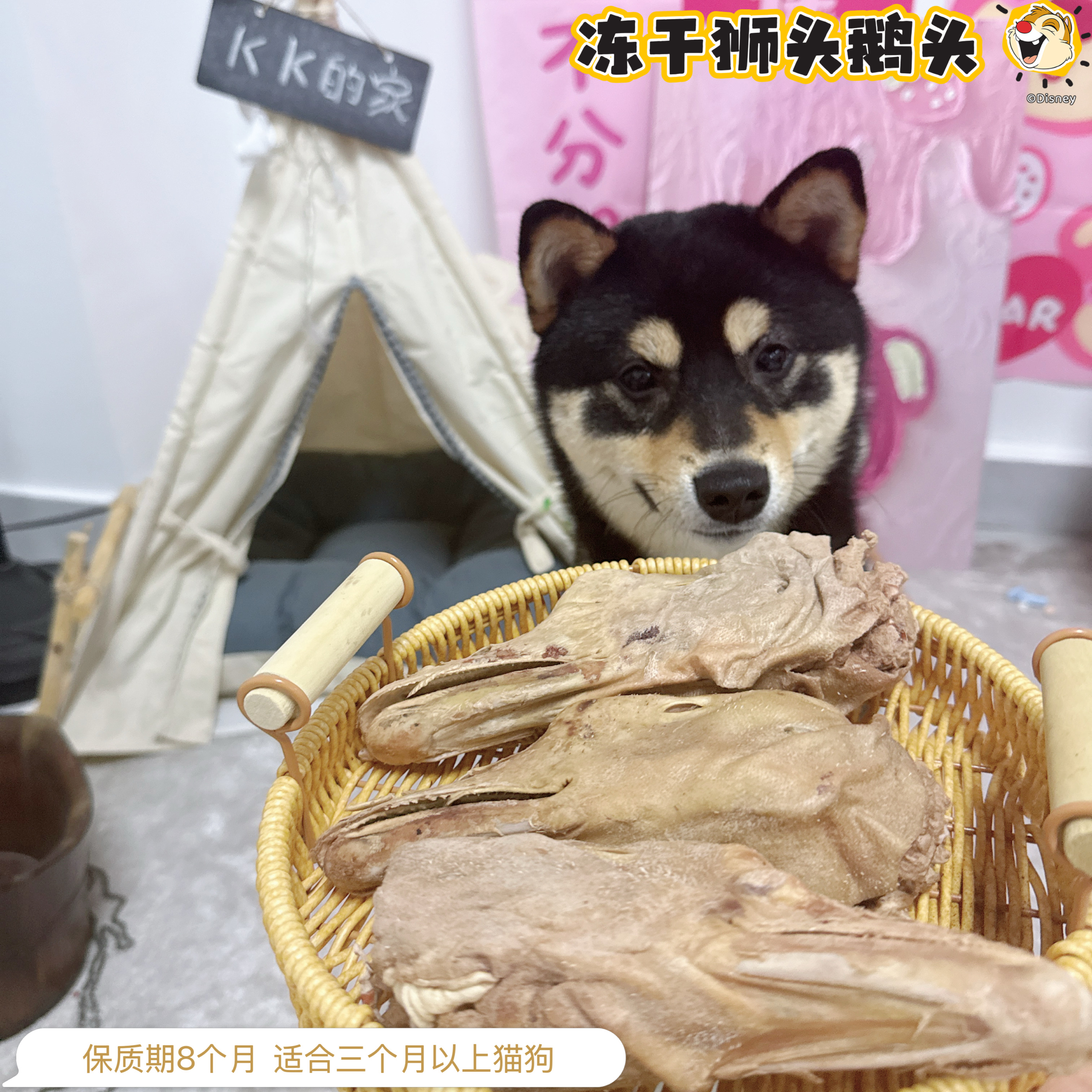 宠物零食冻干狮头鹅头成幼猫咪狗狗通用零食鸡肉增肥发腮狗零食