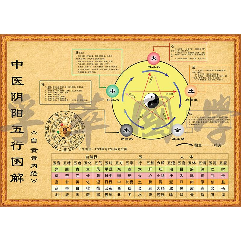 中医阴阳五行图解中医五行生克子午流注周易经养生理疗馆装饰壁画
