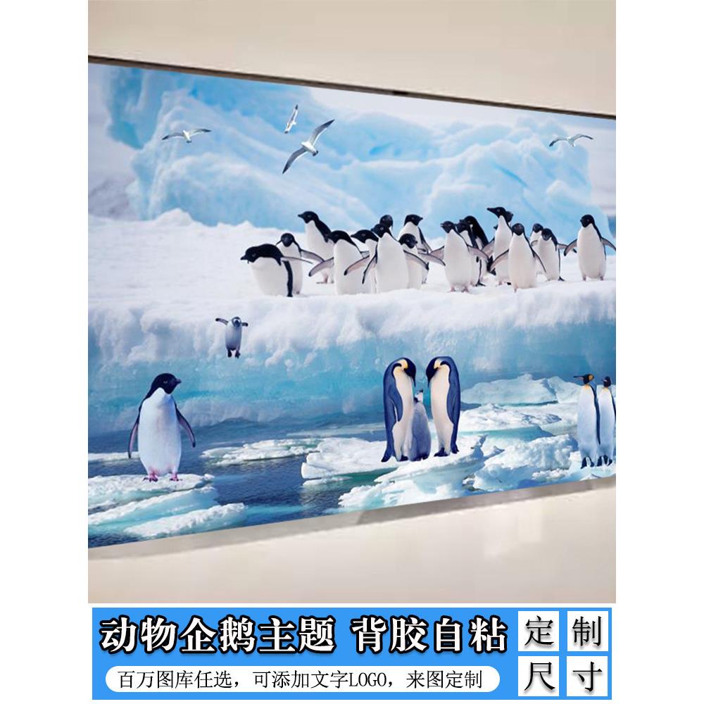 pingu企鹅贴纸防水卡通墙纸壁纸壁画墙贴背景墙图案墙面装饰贴画